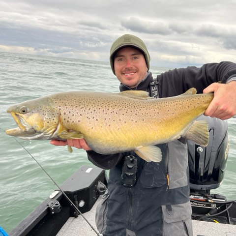 Brown Trout Fishing